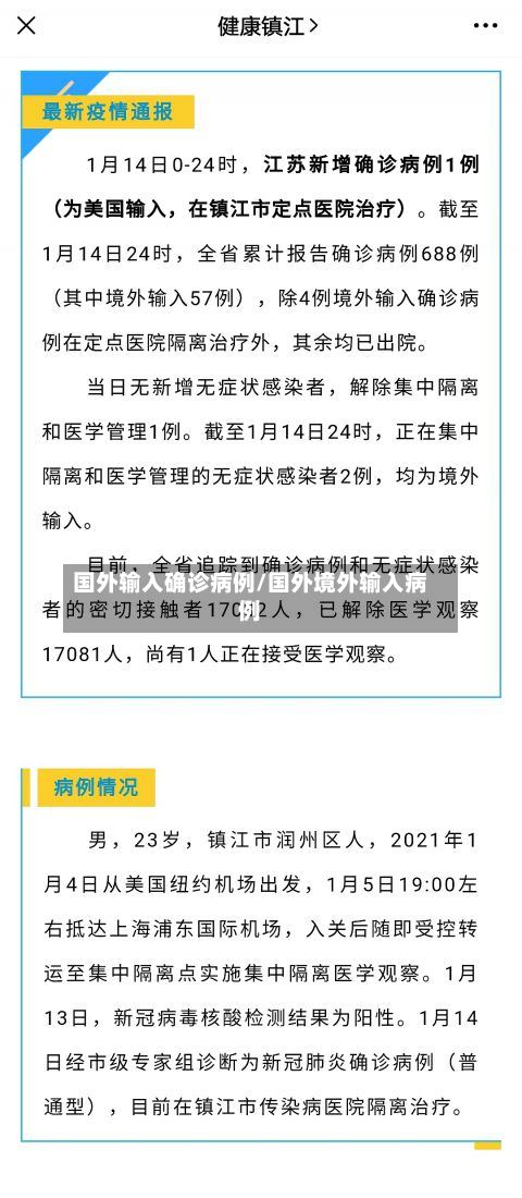 国外输入确诊病例/国外境外输入病例