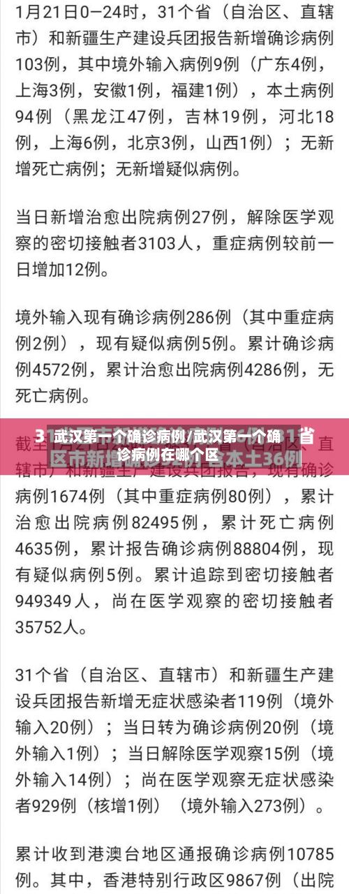 武汉第一个确诊病例/武汉第一个确诊病例在哪个区-第2张图片