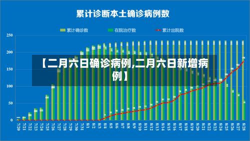 【二月六日确诊病例,二月六日新增病例】-第2张图片