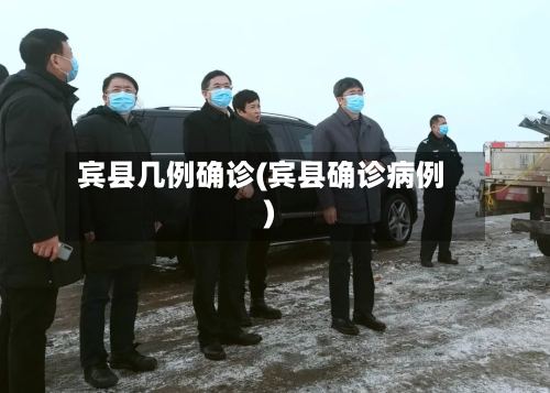 宾县几例确诊(宾县确诊病例)-第2张图片