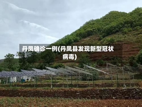 丹凤确诊一例(丹凤县发现新型冠状病毒)