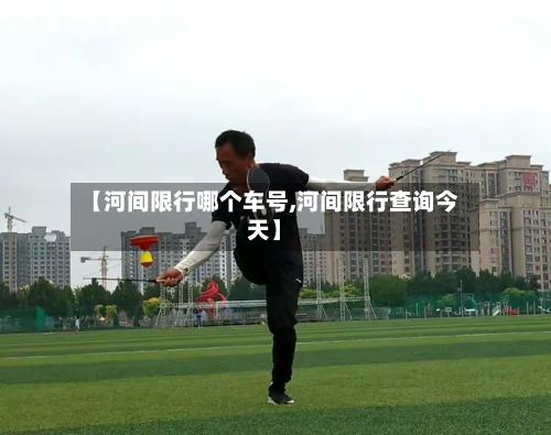 【河间限行哪个车号,河间限行查询今天】