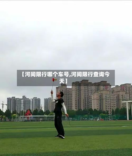 【河间限行哪个车号,河间限行查询今天】-第2张图片
