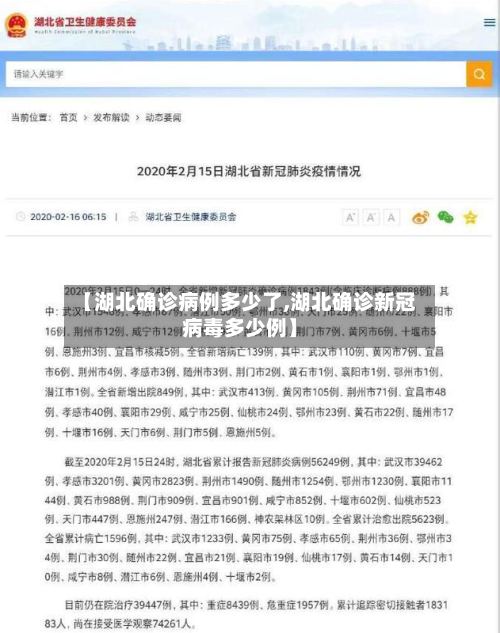 【湖北确诊病例多少了,湖北确诊新冠病毒多少例】