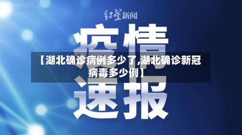 【湖北确诊病例多少了,湖北确诊新冠病毒多少例】-第2张图片