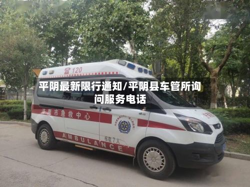 平阴最新限行通知/平阴县车管所询问服务电话