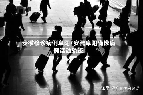 安徽确诊病例阜阳/安徽阜阳确诊病例活动轨迹-第2张图片