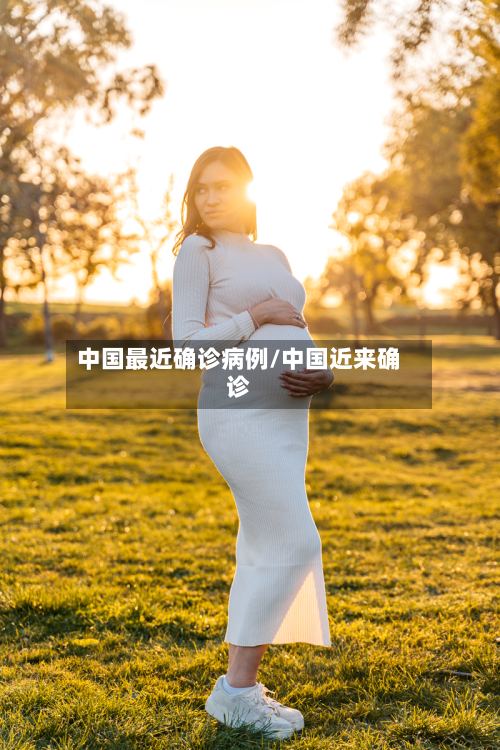 中国最近确诊病例/中国近来确诊