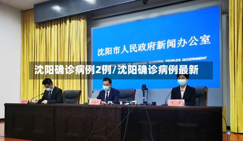 沈阳确诊病例2例/沈阳确诊病例最新-第2张图片