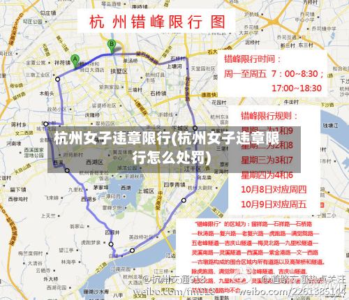 杭州女子违章限行(杭州女子违章限行怎么处罚)-第2张图片