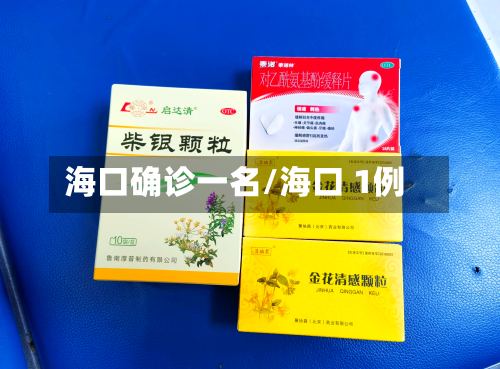 海口确诊一名/海口 1例-第2张图片