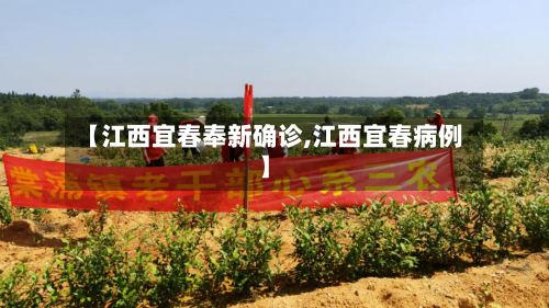 【江西宜春奉新确诊,江西宜春病例】-第2张图片