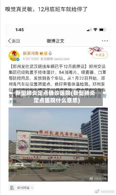 新型肺炎定点确诊医院(新型肺炎定点医院什么意思)-第3张图片