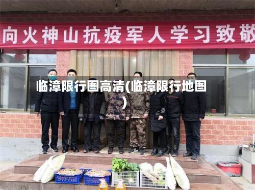 临漳限行图高清(临漳限行地图)