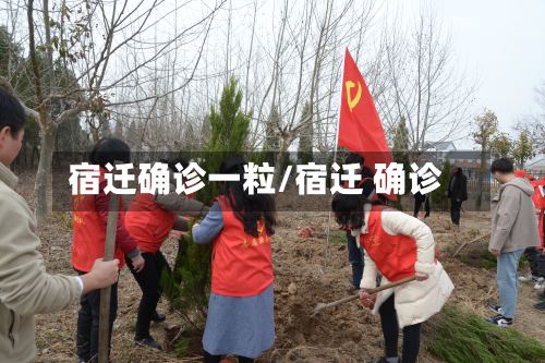 宿迁确诊一粒/宿迁 确诊