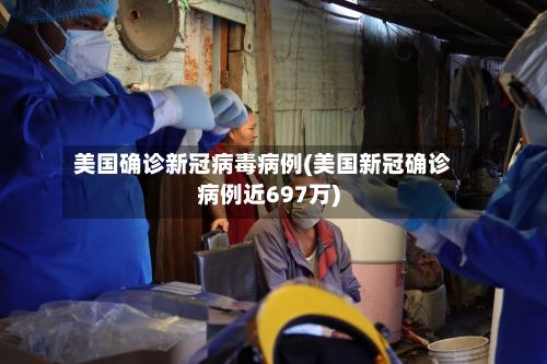 美国确诊新冠病毒病例(美国新冠确诊病例近697万)-第2张图片