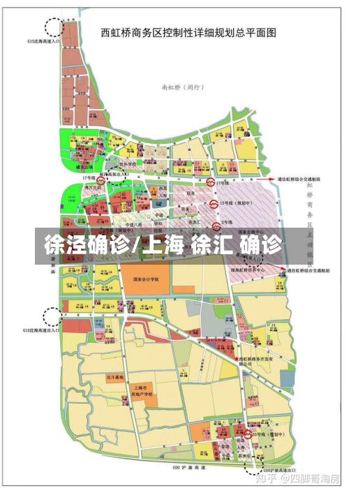 徐泾确诊/上海 徐汇 确诊-第3张图片