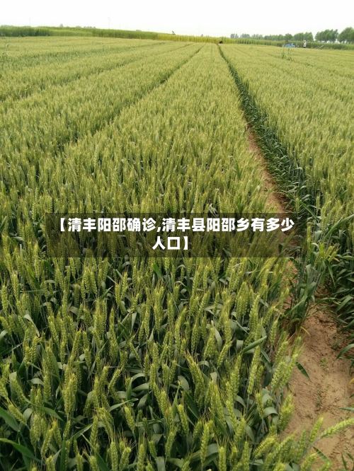 【清丰阳邵确诊,清丰县阳邵乡有多少人口】