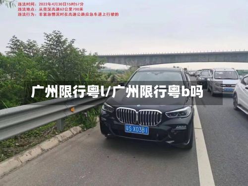 广州限行粤l/广州限行粤b吗-第2张图片