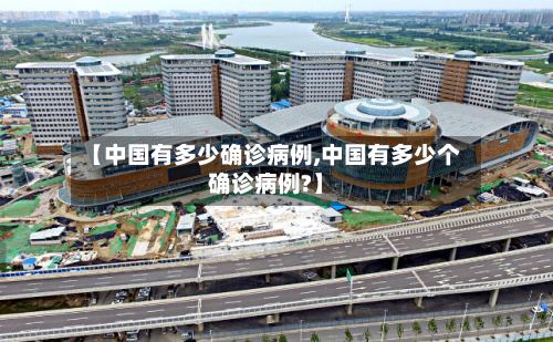 【中国有多少确诊病例,中国有多少个确诊病例?】-第3张图片
