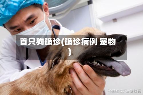 首只狗确诊(确诊病例 宠物)
