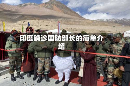 印度确诊国防部长的简单介绍