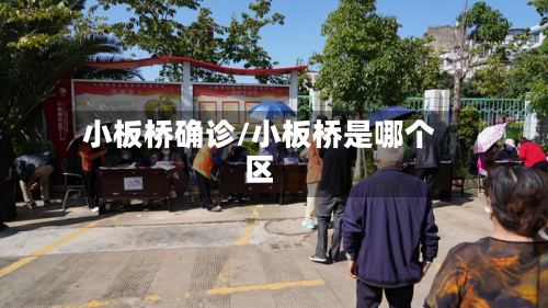 小板桥确诊/小板桥是哪个区-第2张图片
