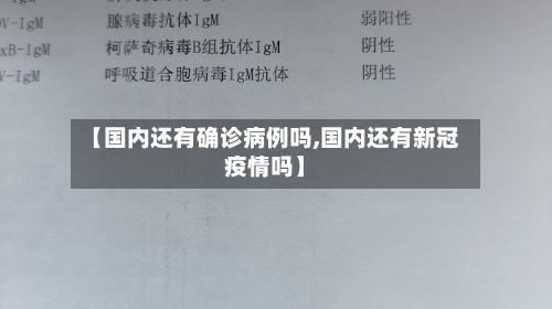 【国内还有确诊病例吗,国内还有新冠疫情吗】-第2张图片