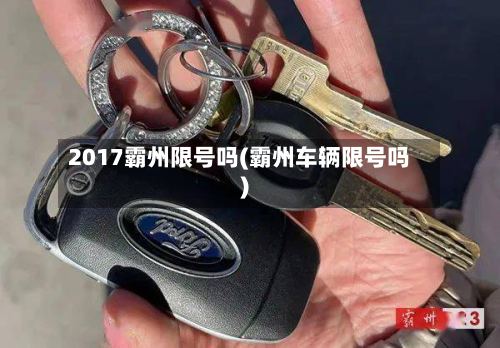 2017霸州限号吗(霸州车辆限号吗)-第2张图片