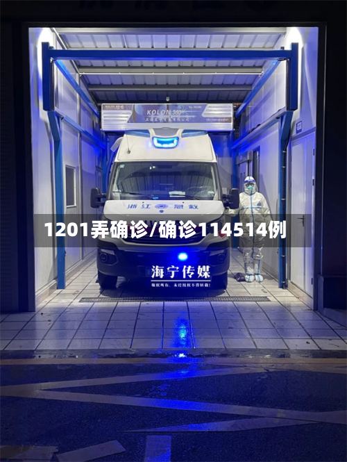 1201弄确诊/确诊114514例-第3张图片