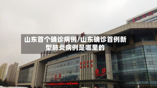 山东首个确诊病例/山东确诊首例新型肺炎病例是哪里的-第3张图片