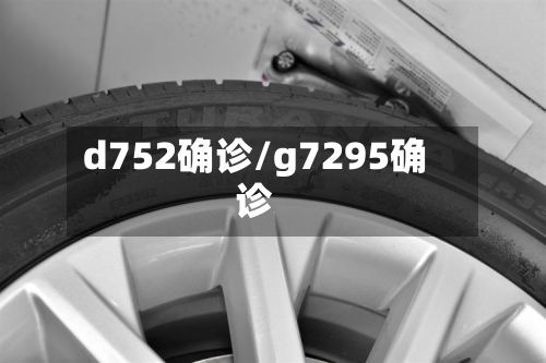 d752确诊/g7295确诊-第2张图片