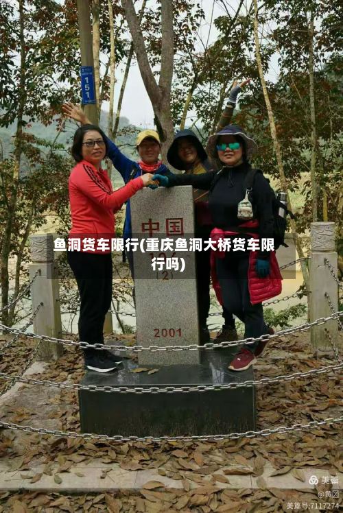 鱼洞货车限行(重庆鱼洞大桥货车限行吗)
