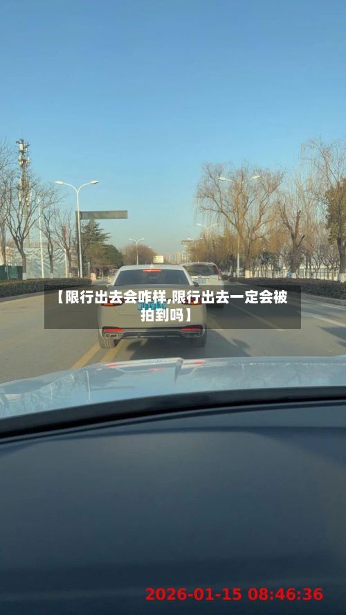 【限行出去会咋样,限行出去一定会被拍到吗】-第2张图片