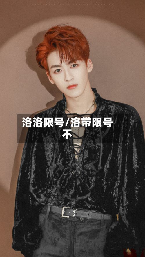 洛洛限号/洛带限号不-第2张图片