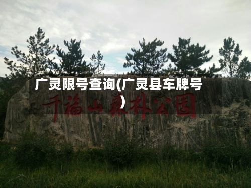 广灵限号查询(广灵县车牌号)