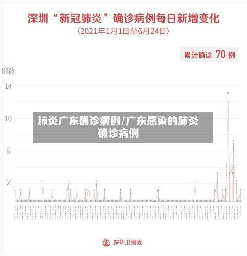 肺炎广东确诊病例/广东感染的肺炎确诊病例