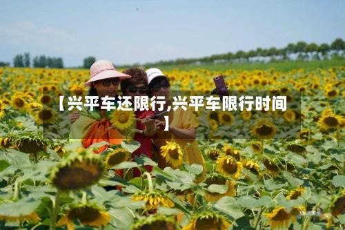 【兴平车还限行,兴平车限行时间】-第2张图片