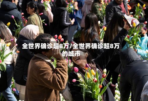 全世界确诊超8万/全世界确诊超8万的城市-第2张图片