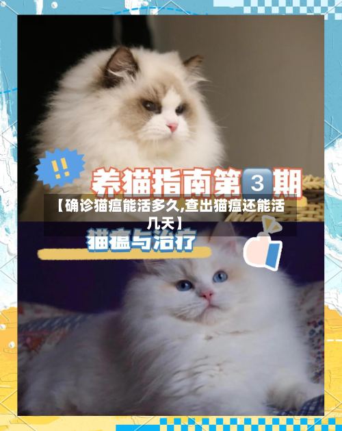 【确诊猫瘟能活多久,查出猫瘟还能活几天】-第2张图片