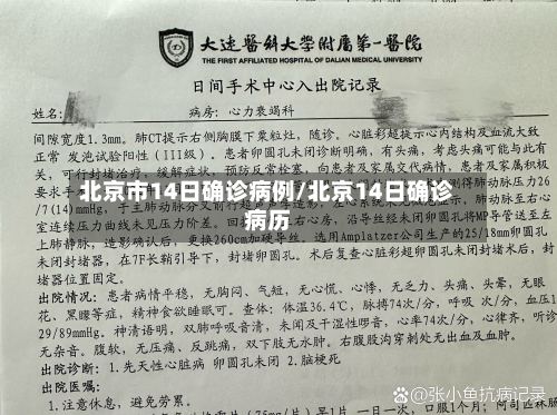 北京市14日确诊病例/北京14日确诊病历-第3张图片