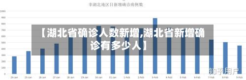 【湖北省确诊人数新增,湖北省新增确诊有多少人】-第2张图片