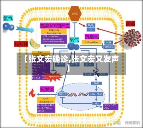 【张文宏确诊,张文宏又发声】-第3张图片