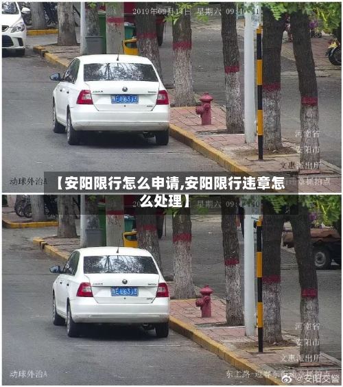【安阳限行怎么申请,安阳限行违章怎么处理】-第2张图片