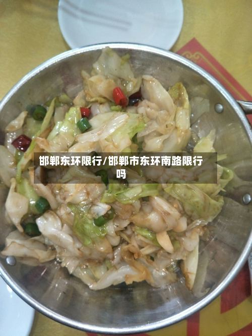 邯郸东环限行/邯郸市东环南路限行吗