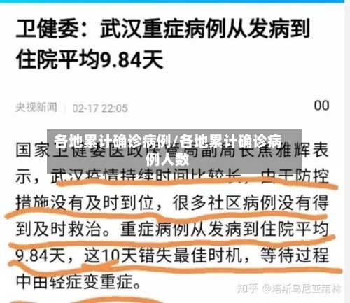 各地累计确诊病例/各地累计确诊病例人数-第3张图片