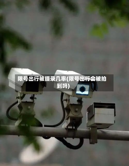 限号出行被摄录几率(限号出行会被拍到吗)-第2张图片