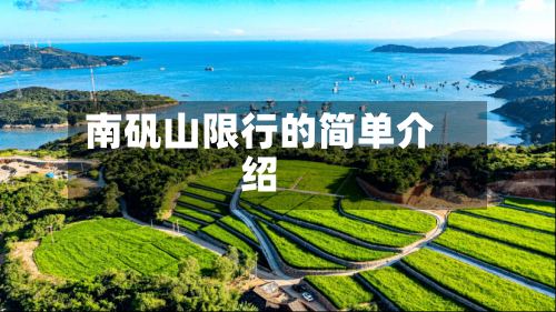 南矾山限行的简单介绍