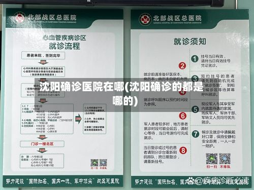 沈阳确诊医院在哪(沈阳确诊的都是哪的)