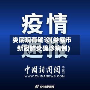 娄底现有确诊(娄底市新冠肺炎确诊病例)-第3张图片